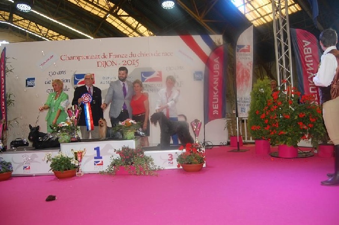 Valestory's - 2015 CHAMPIONNAT DE FRANCE (page CHAMPIONS)